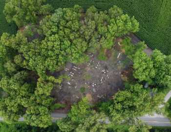 drone photo July 2021 David Shearrer