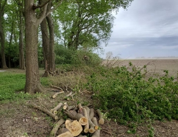A Day’s work finished – 3 May 2020 photo 3 – Photo by Jerry Prouhet