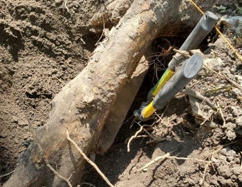 EEJ foot stone being cut out of the tree  roots – Photo by Jerry Prouhet