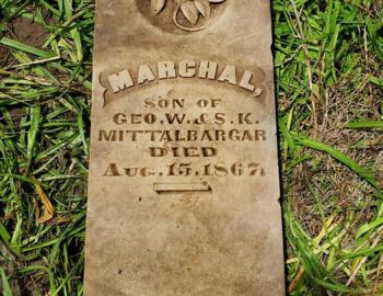New discovery in the Mittalbarger family – Photo by Jerry Prouhet