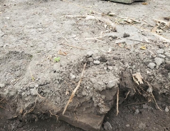 Stone found underground – Photo by Jerry Prouhet
