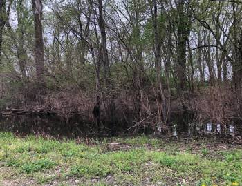 Flooding still evident in May 2020 – Photo by Dorris Keeven-Franke
