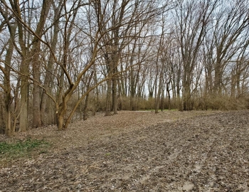 March 2019 After – Photo by Jerry Prouhet
