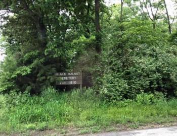 May 2019 – before the clearing